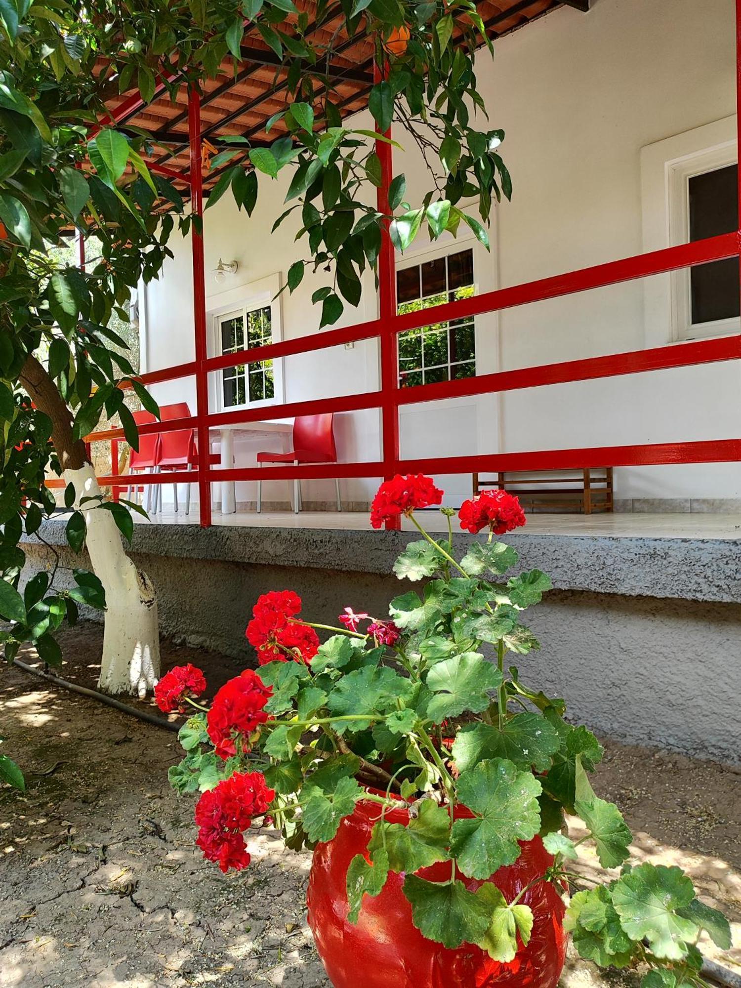 Cottonclub Villas トロン エクステリア 写真