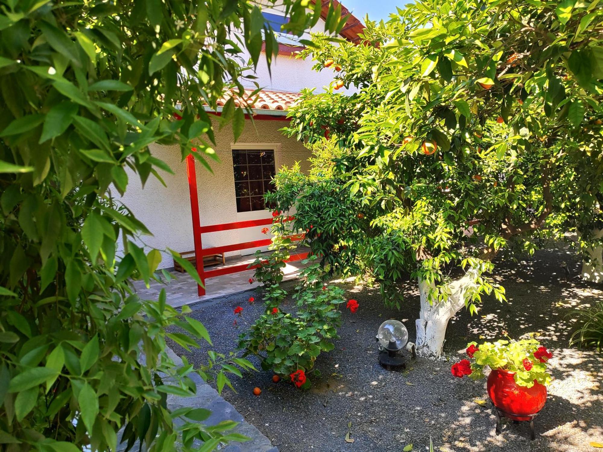 Cottonclub Villas トロン エクステリア 写真