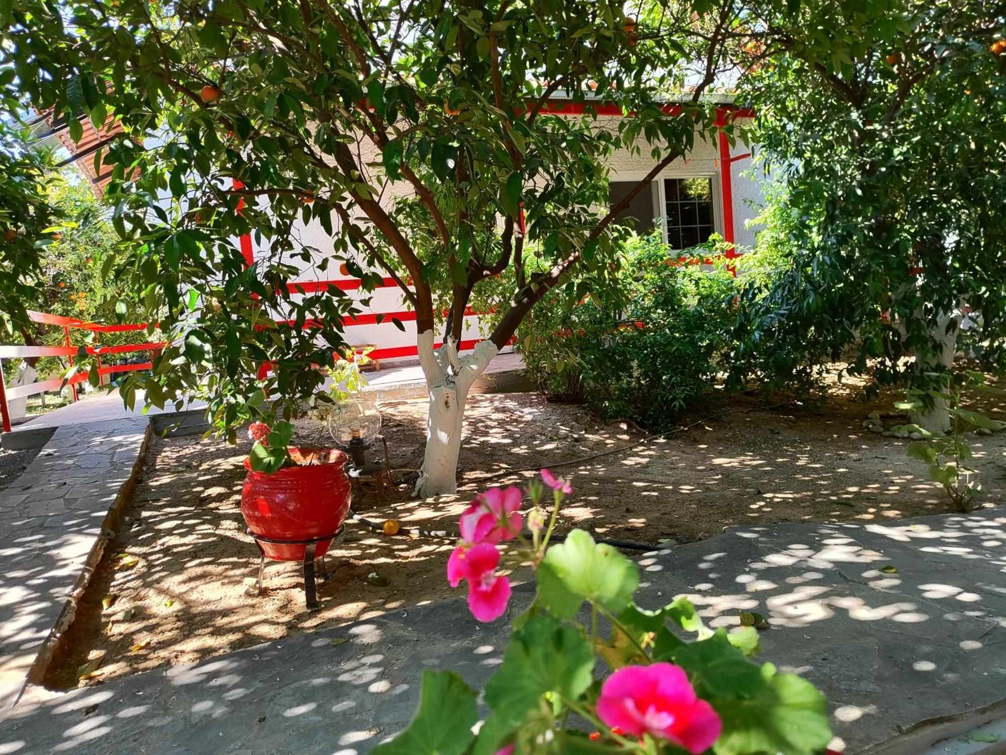 Cottonclub Villas トロン エクステリア 写真