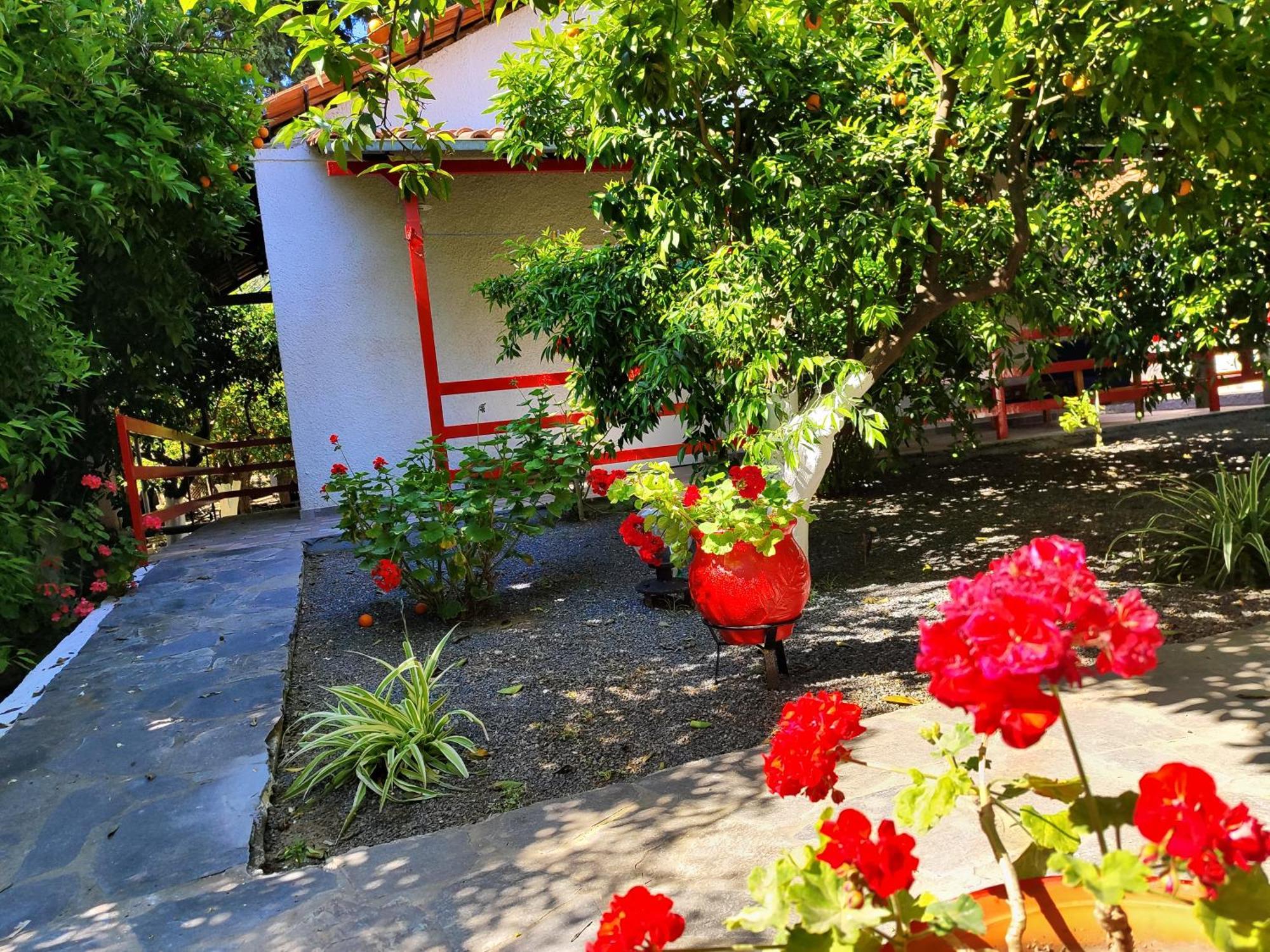 Cottonclub Villas トロン エクステリア 写真